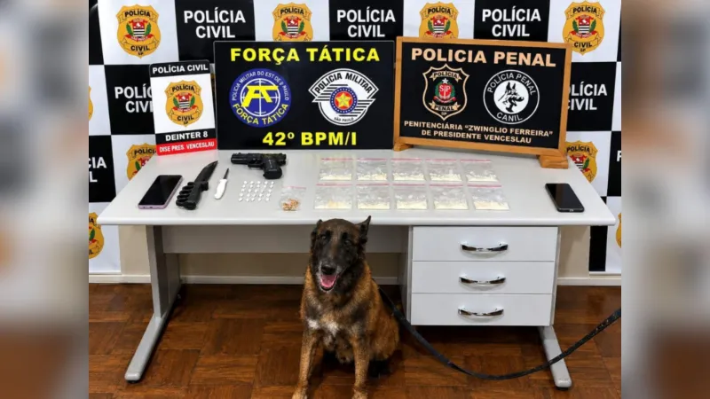 Também foram apreendidos um simulacro de arma de fogo e celulares |