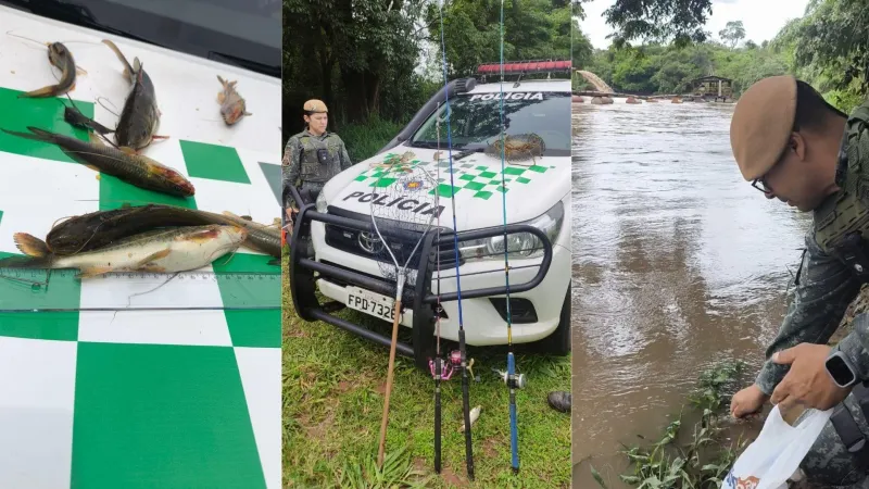 Peixes foram devolvidos para o ambiente aquático |