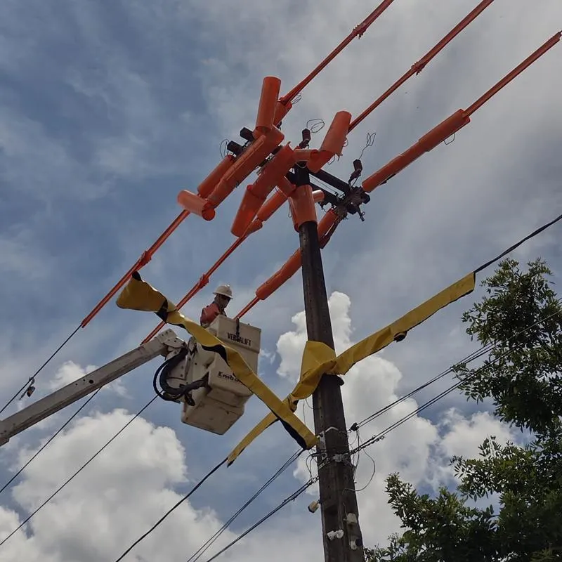 Imagem da matéria