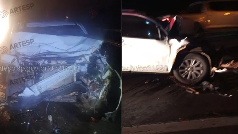 Motorista teve ferimentos moderados |