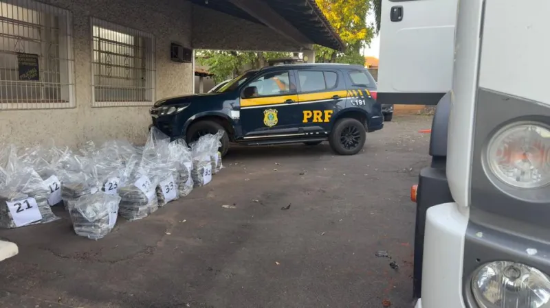 Mais de 500 quilos de cocaína foram apreendidos em Tupi Paulista (SP) |