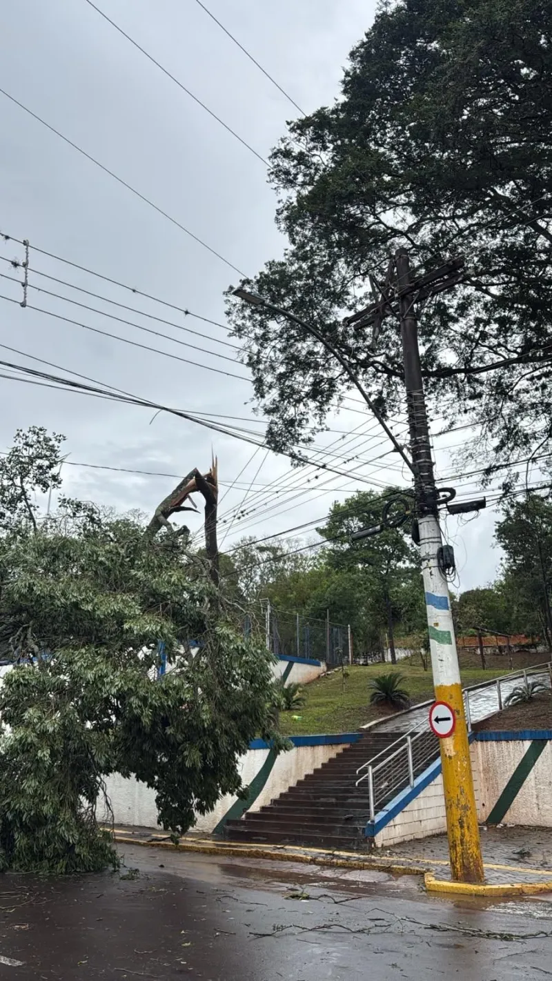 Imagem da matéria