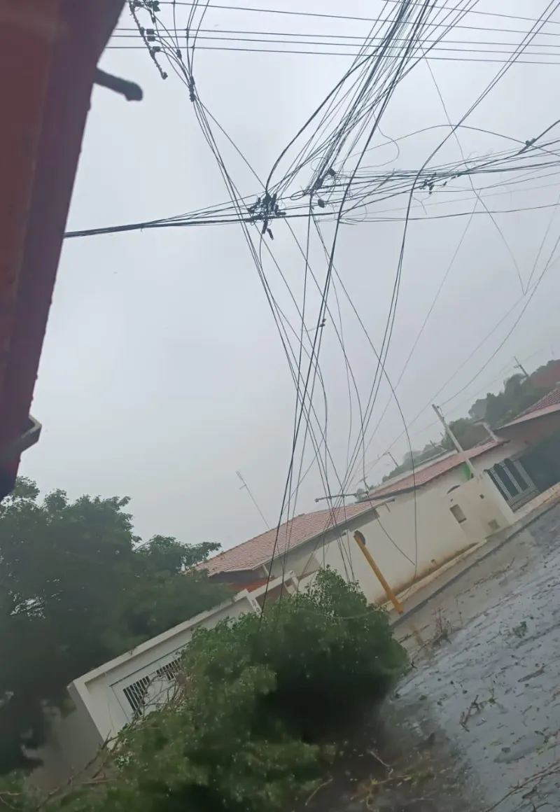 Imagem da matéria