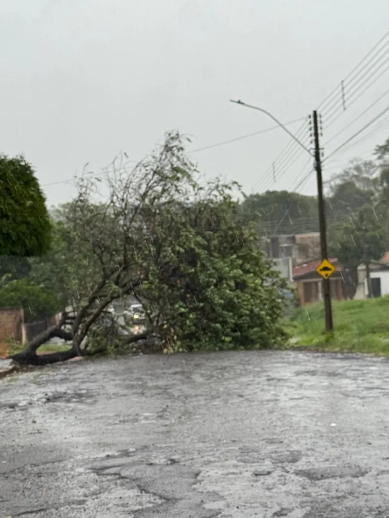 Imagem da matéria