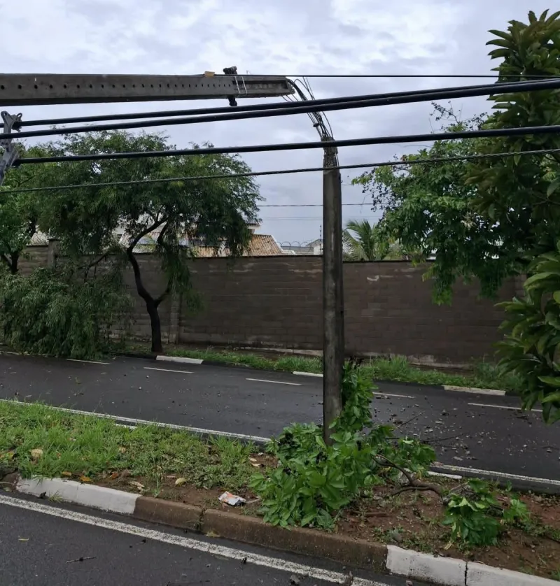 Imagem da matéria