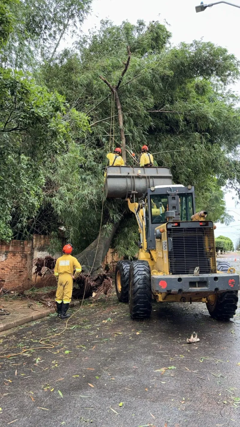 Imagem da matéria
