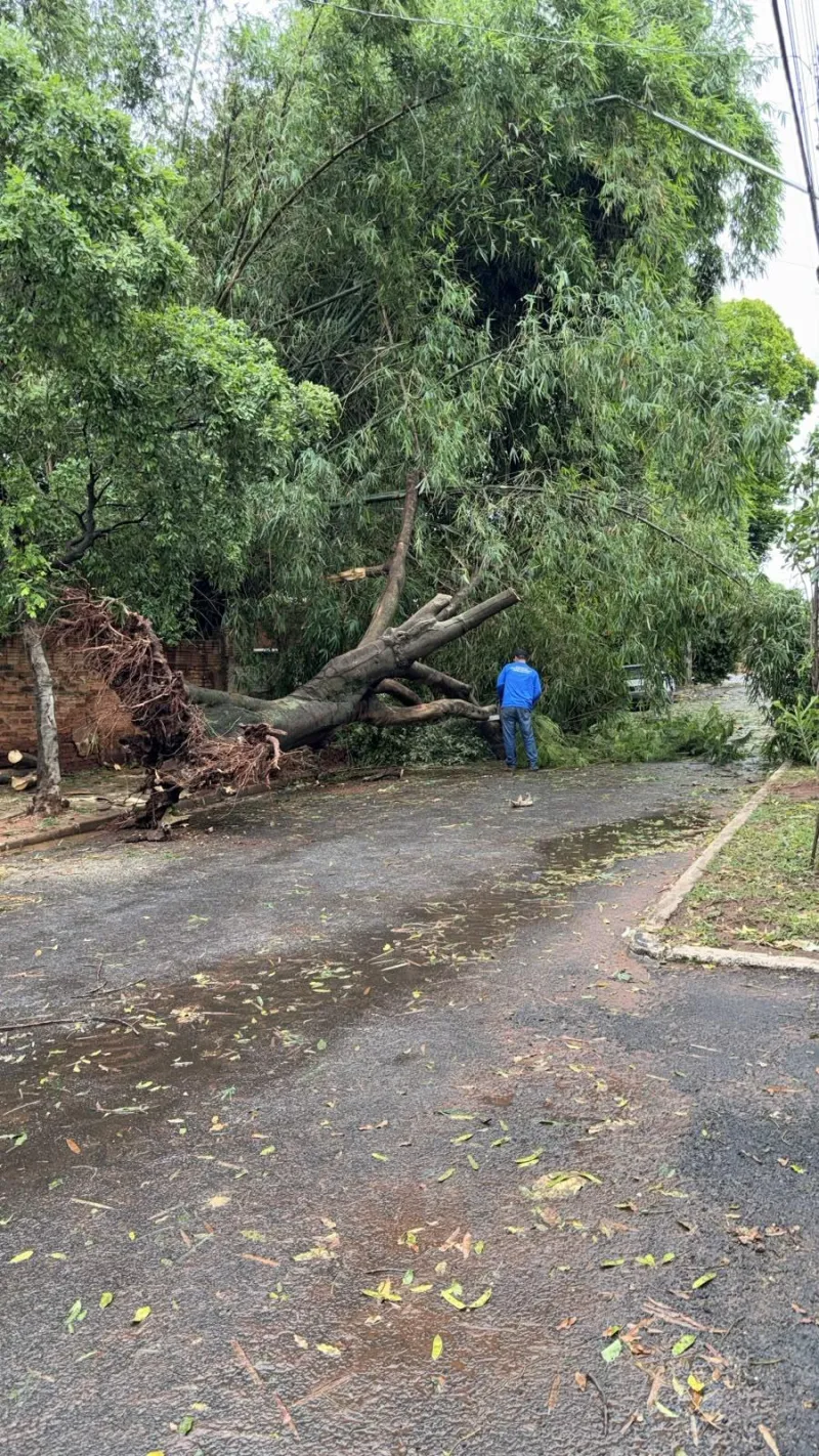 Imagem da matéria