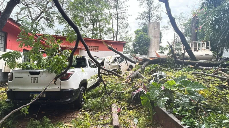 Imagem da matéria