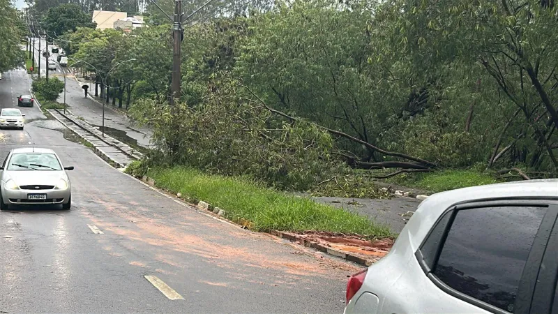 Imagem da matéria