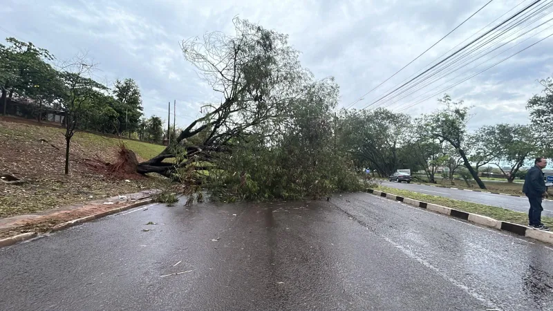 Imagem da matéria