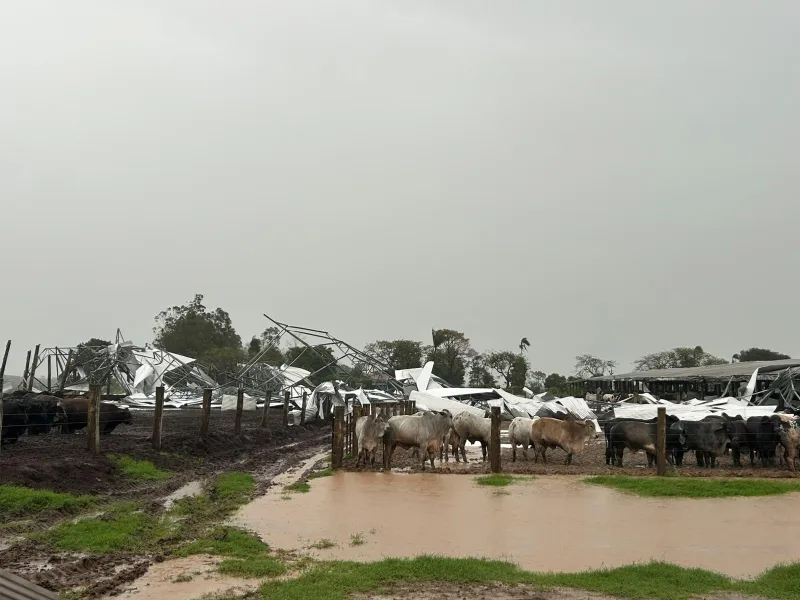 Imagem da matéria