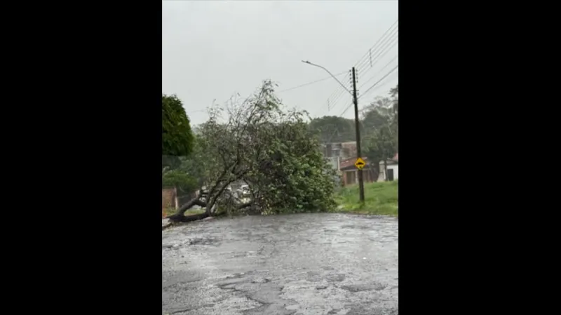 Rajadas de vento chegaram a 80km/h neste domingo (4) na região de Presidente Prudente (SP) |