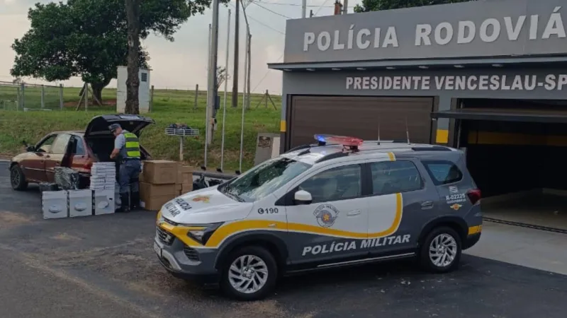 Motorista do veículo foi liberado após prestar declarações |
