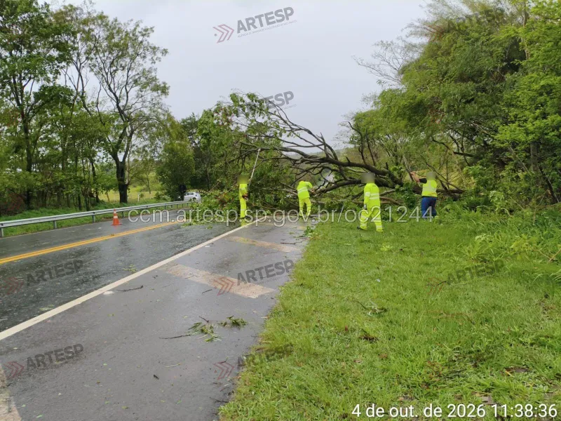 Imagem da matéria