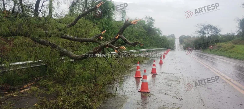 Imagem da matéria