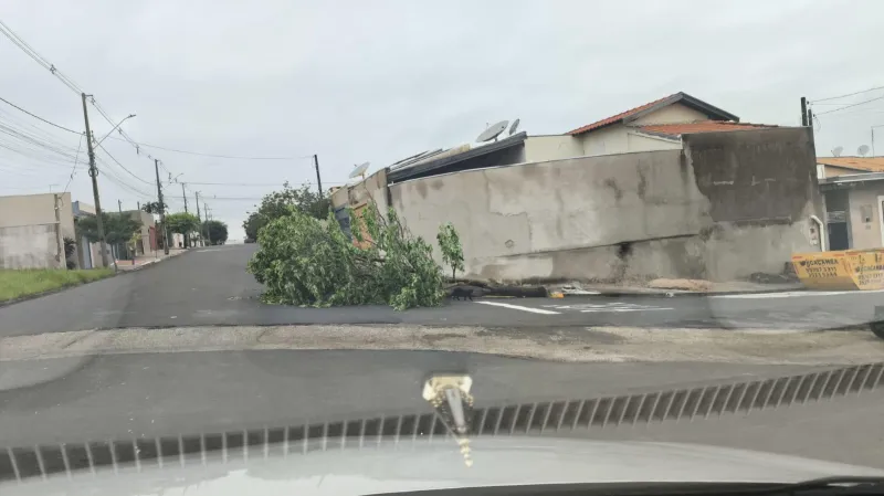 Imagem da matéria