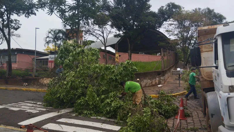 Temporal causou queda de árvores, destelhamentos e interrupções de energia elétrica |