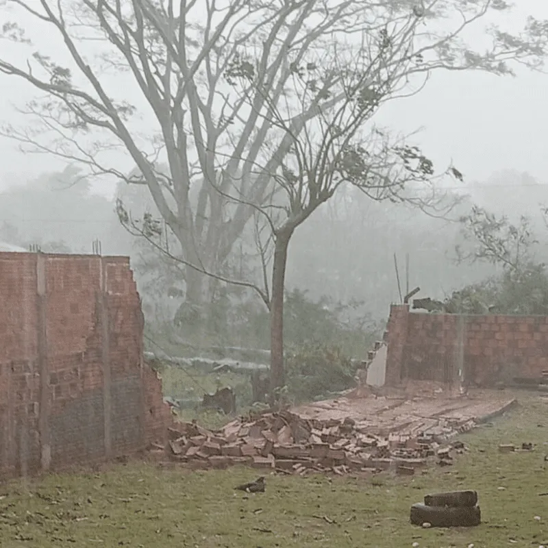 Imagem da matéria