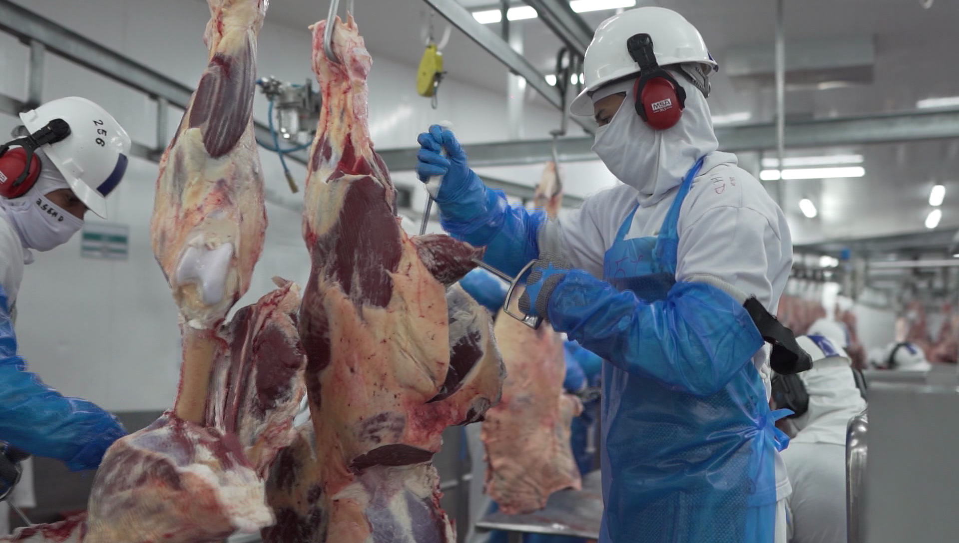 Setor privado vem trabalhando em parceria com o Ministério da Agricultura e Pecuária na elaboração de protocolos voltados ao atendimento das novas exigências europeias |