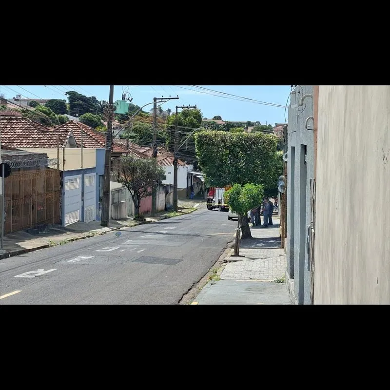 Imagem da matéria
