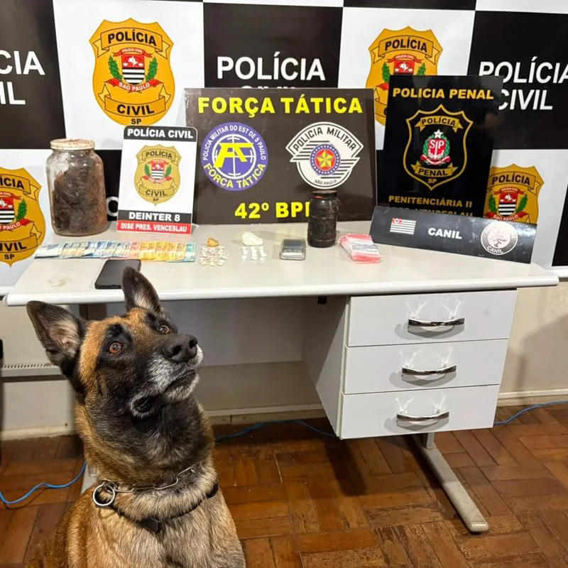 Imagem da matéria