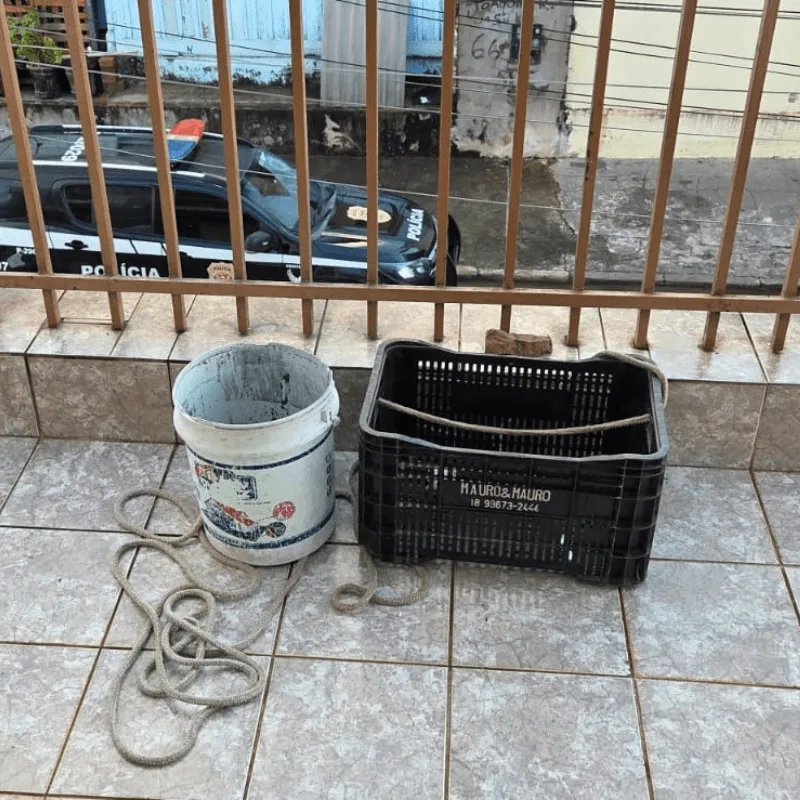 Imagem da matéria