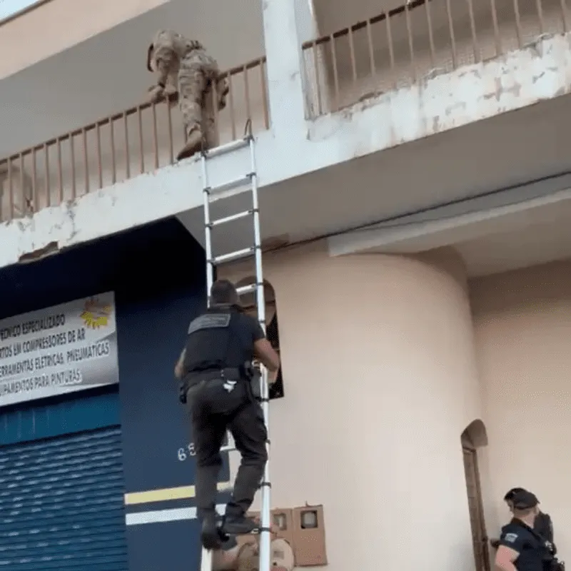 Imagem da matéria