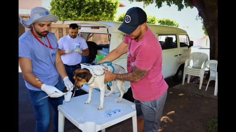 Plantões de coleta de sangue de cães para diagnóstico de leishmaniose acontecerão entre os dias 10 e 22 de agosto em Presidente Prudente (SP) |