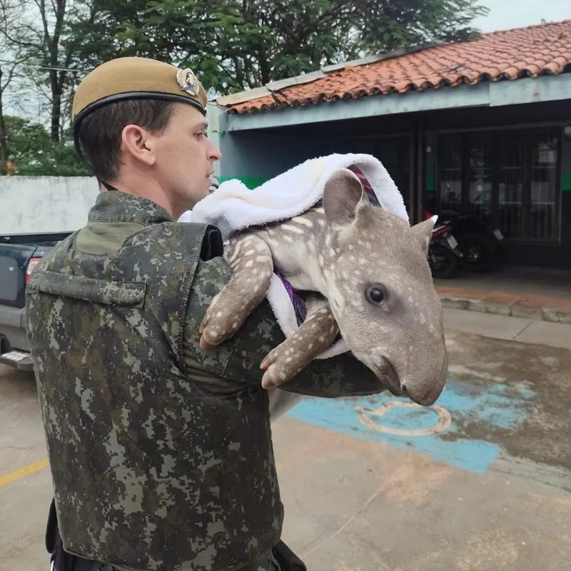Imagem da matéria