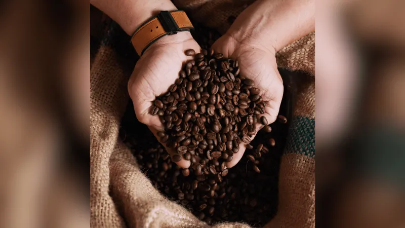 Concurso de Qualidade do Café Arábica tem inscrições abertas na Nova Alta Paulista |