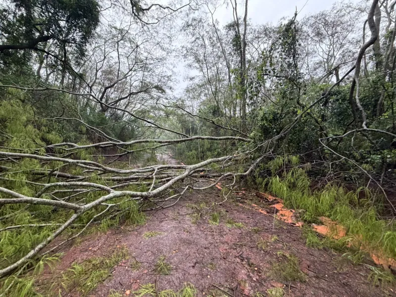 Funcionários trabalharam na retirada de árvores e galhos, na desobstrução das vias, na limpeza dos espaços e no restabelecimento da normalidade no município.