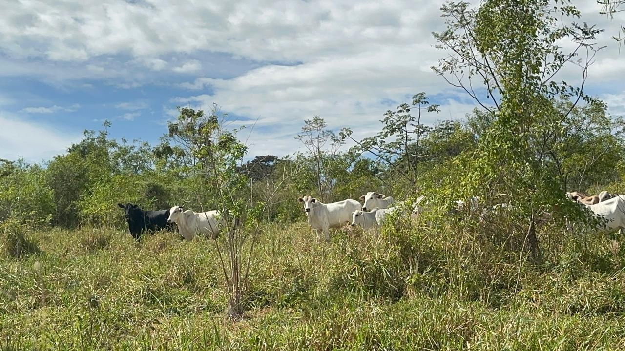 Ao todo, as multas resultaram em R$ 25.500 |