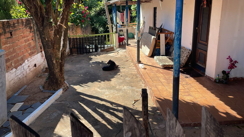 Lei estadual proíbe o acorrentamento permanente de cães.