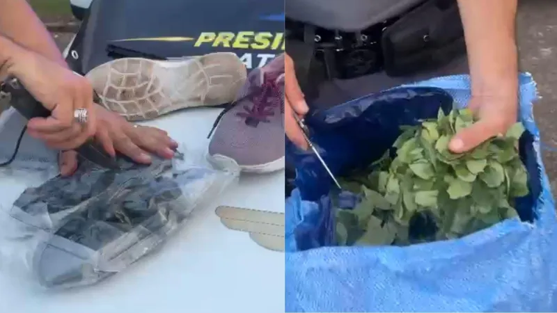 Foram apreendidos 252kg de folhas de coca e 1,560kg de haxixe marroquino |