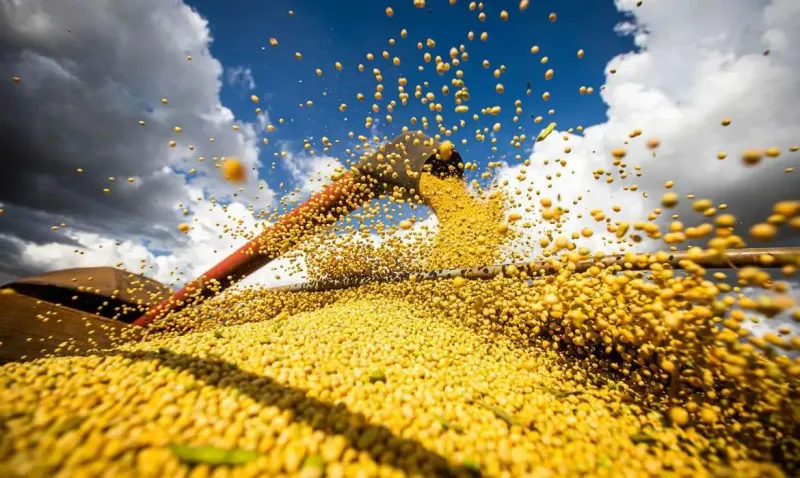 Soja continua sendo o principal produto agrícola do país e deve atingir produção de 180,5 milhões de toneladas |