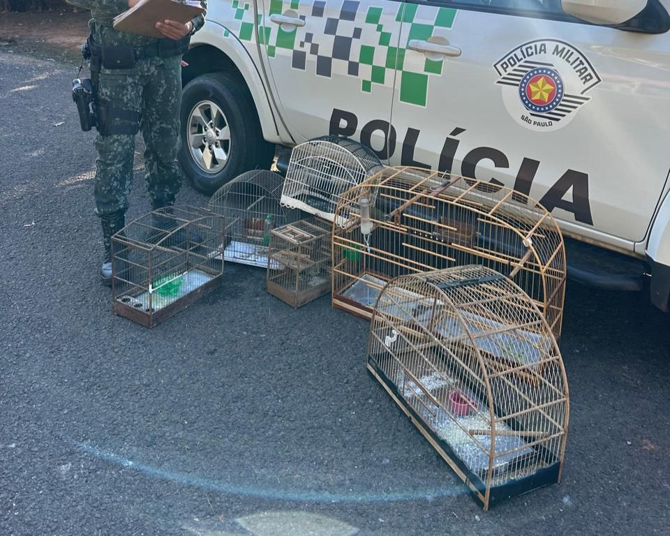 Aves foram encontradas em gaiolas |