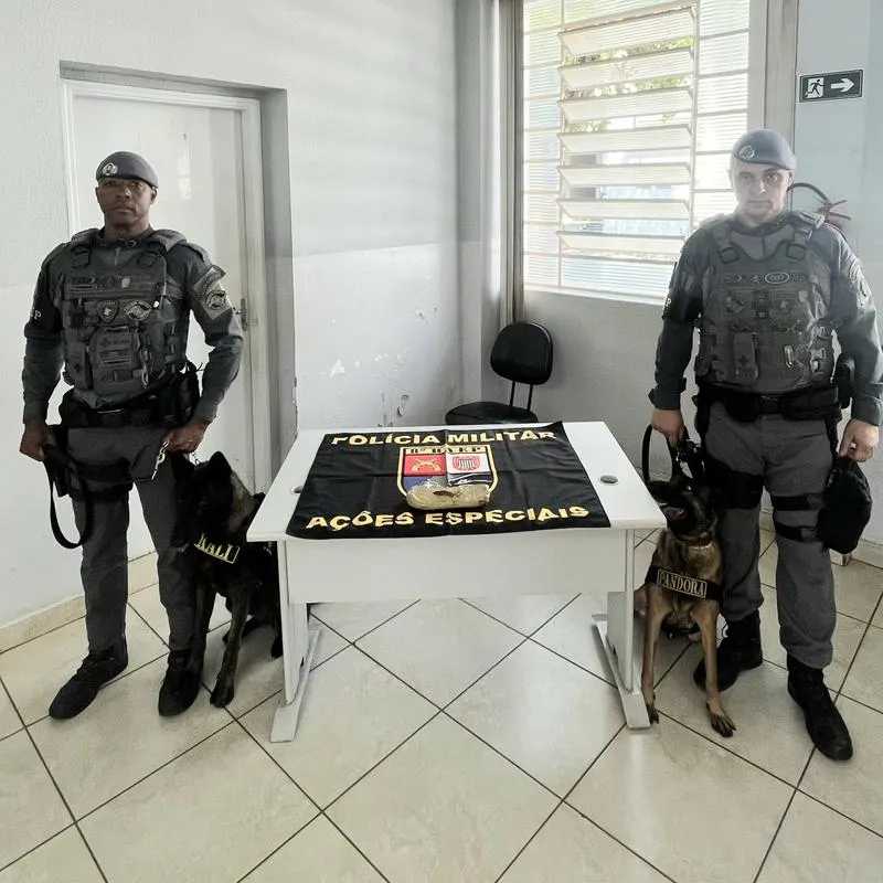 Imagem da matéria