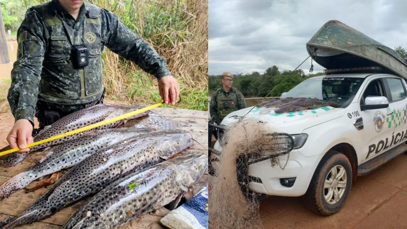 Peixes foram doados ao Lar dos Velhos, em Dracena (SP) |