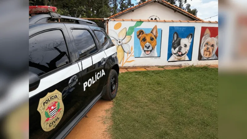 Após cão matar animal de estimação, tutor paga R$ 5 mil a abrigo de animais |