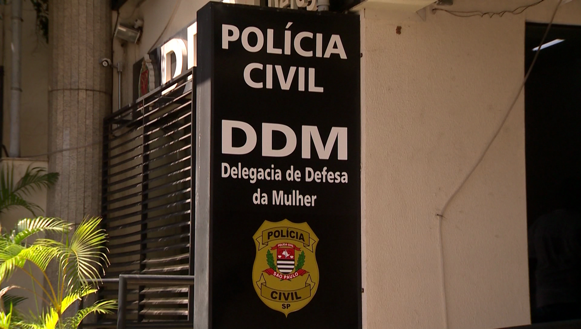 Caso foi registrado na Delegacia de Defesa da Mulher (DDM), em Presidente Prudente (SP) |