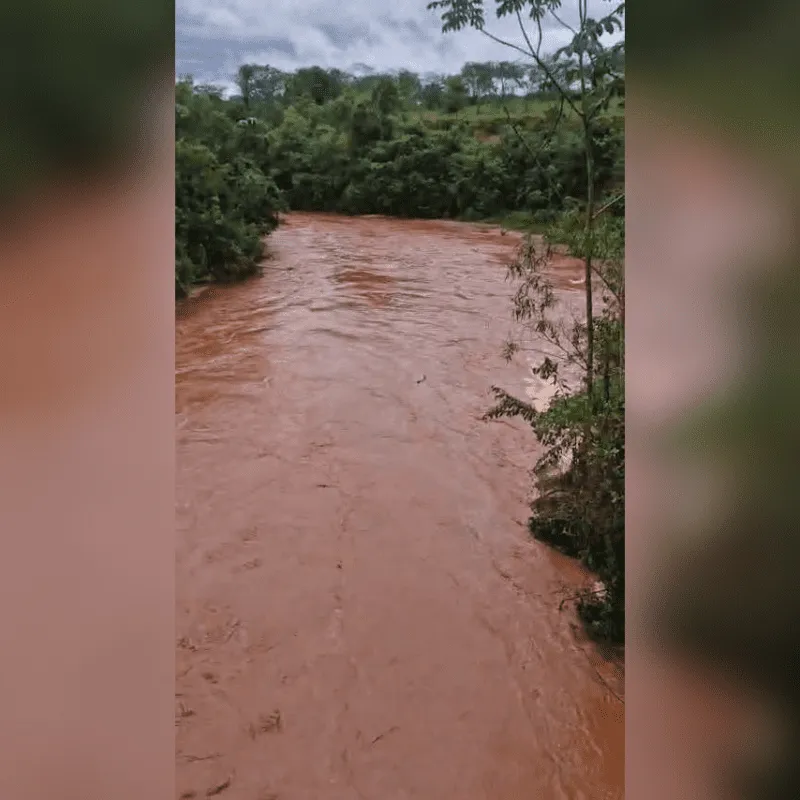 Imagem da matéria
