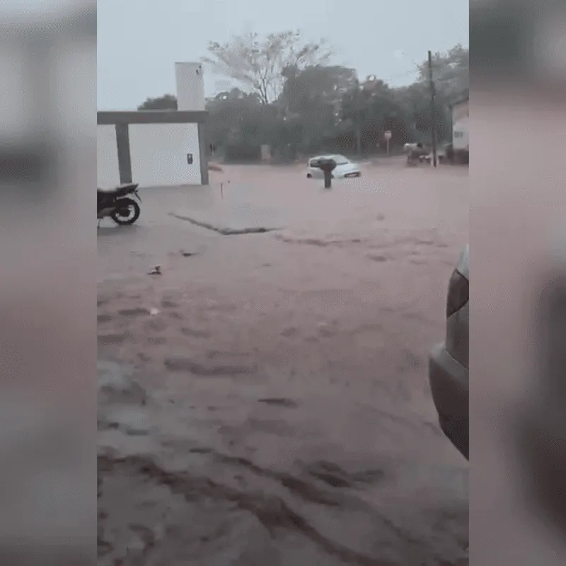 Imagem da matéria