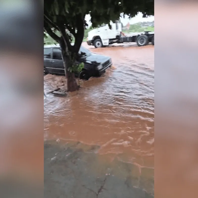 Imagem da matéria