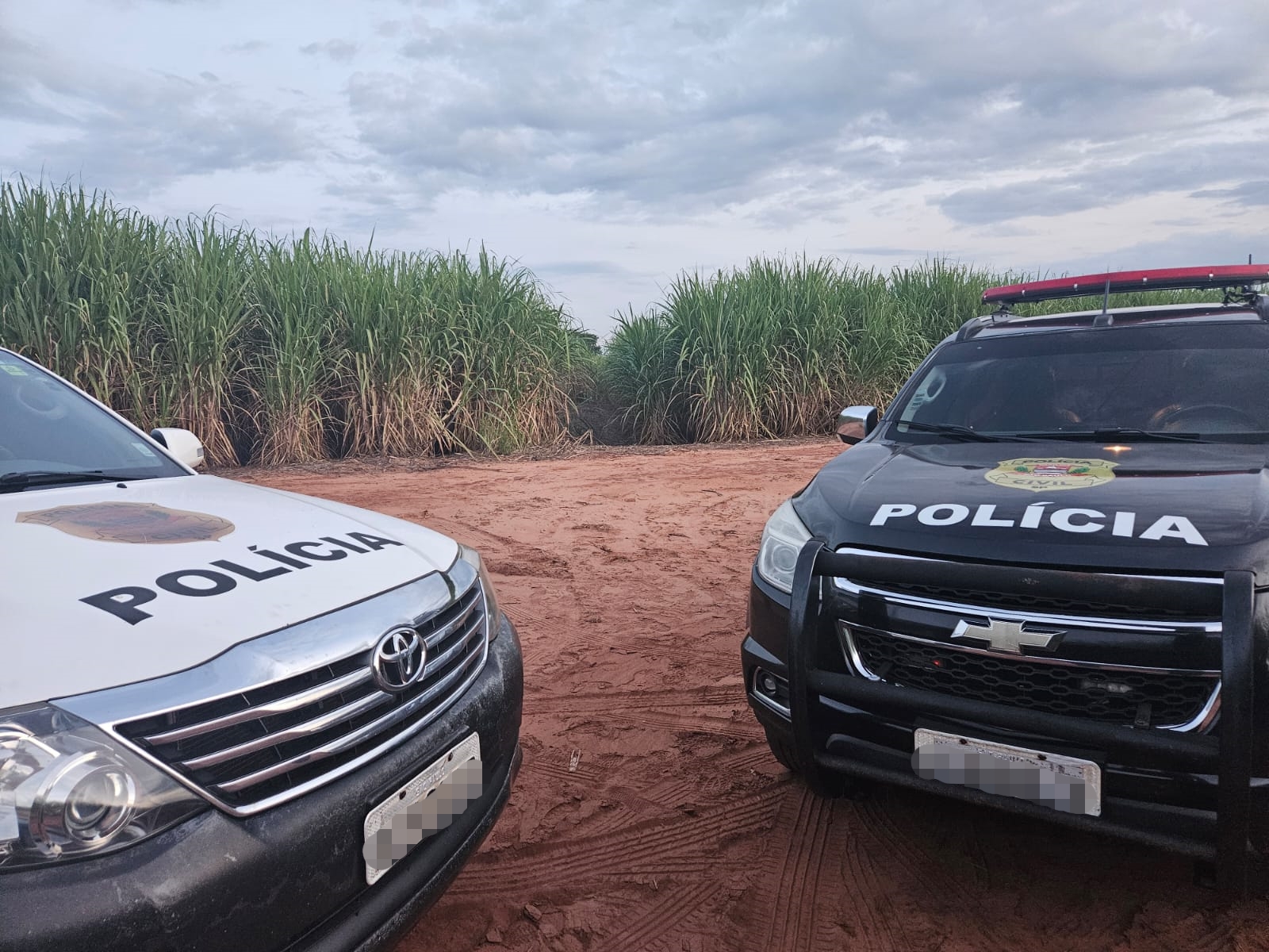 Os cinco veículos foram furtados ou objeto de apropriação indébita no Oeste Paulista |