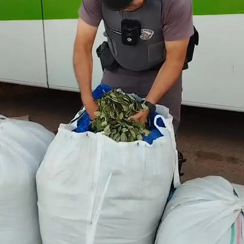 Imagem da matéria