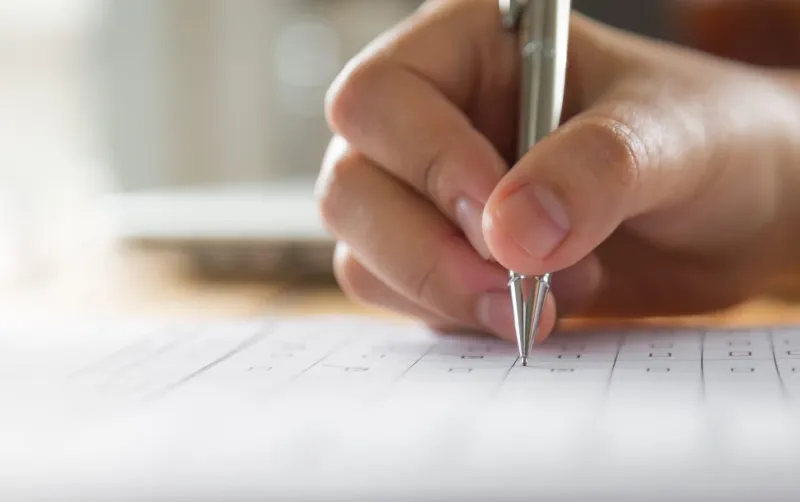 Concursos públicos e processos seletivos oferecem oportunidades |