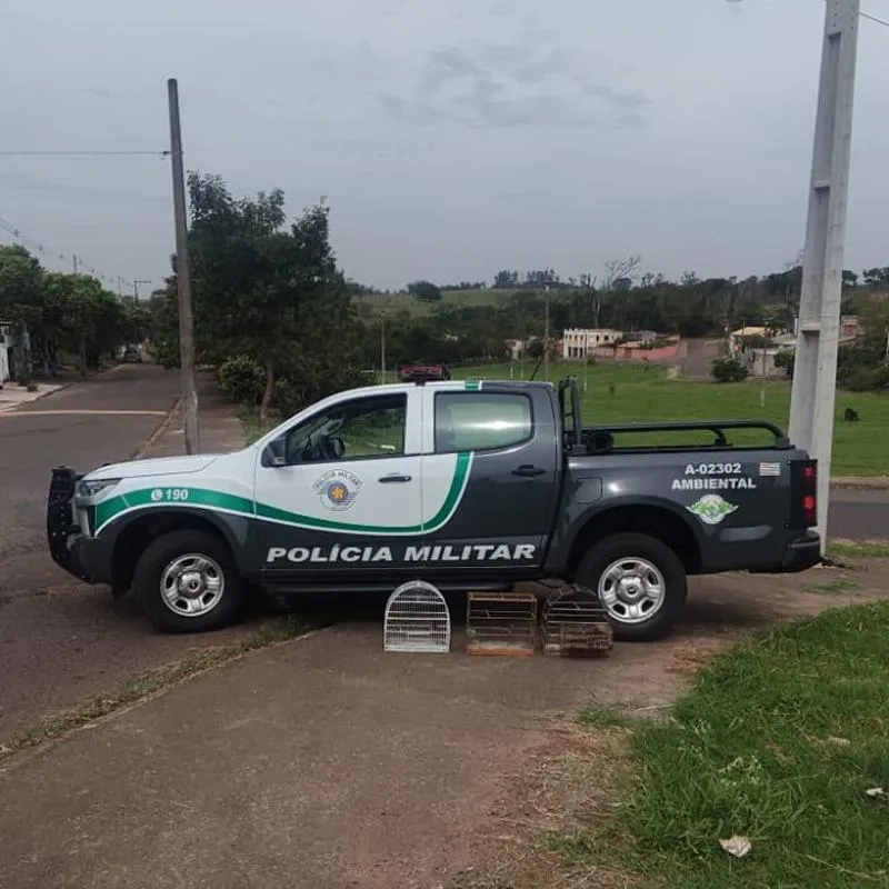 Imagem da matéria
