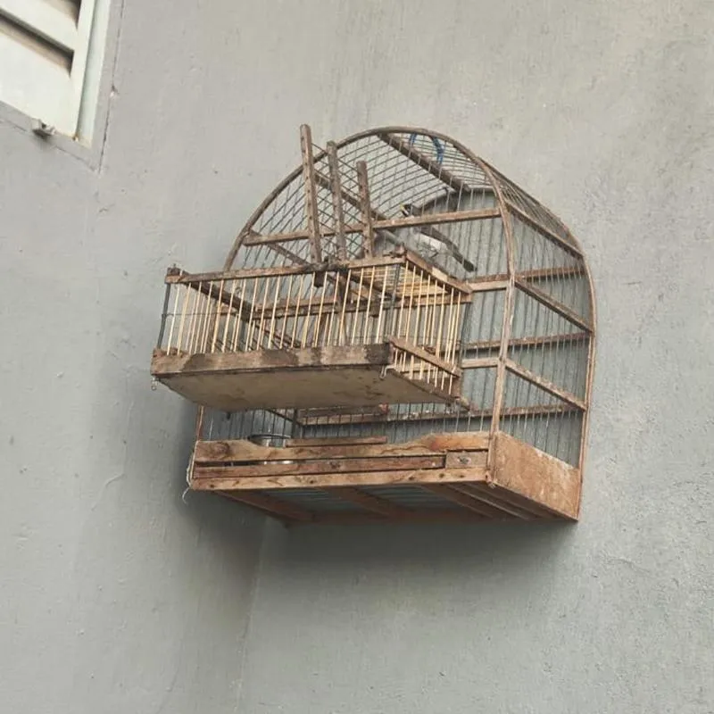 Imagem da matéria