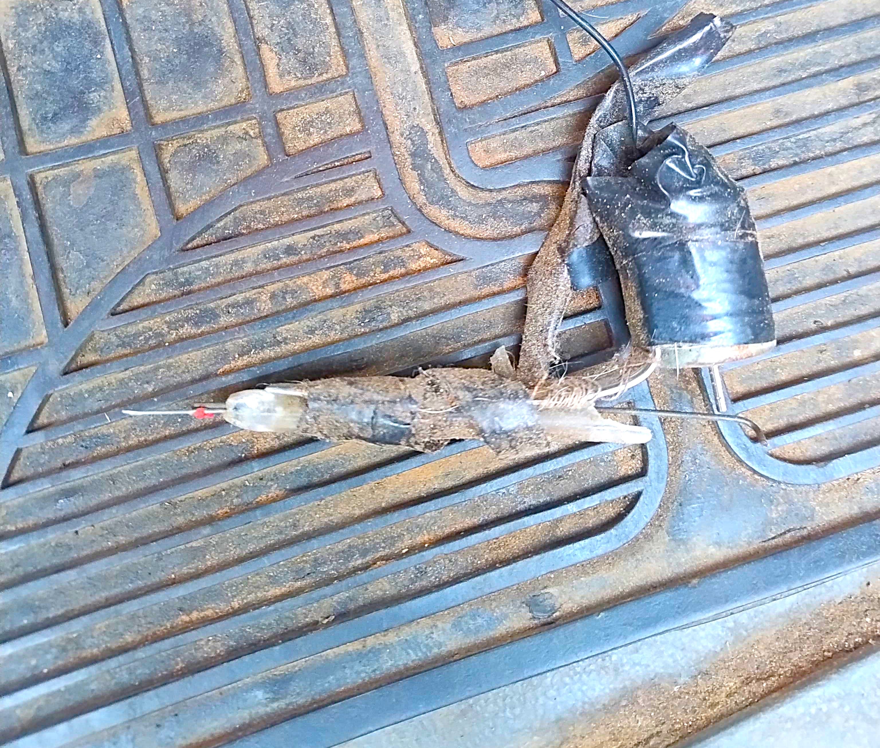 Objeto com agulha feriu coletor em Adamantina (SP) |