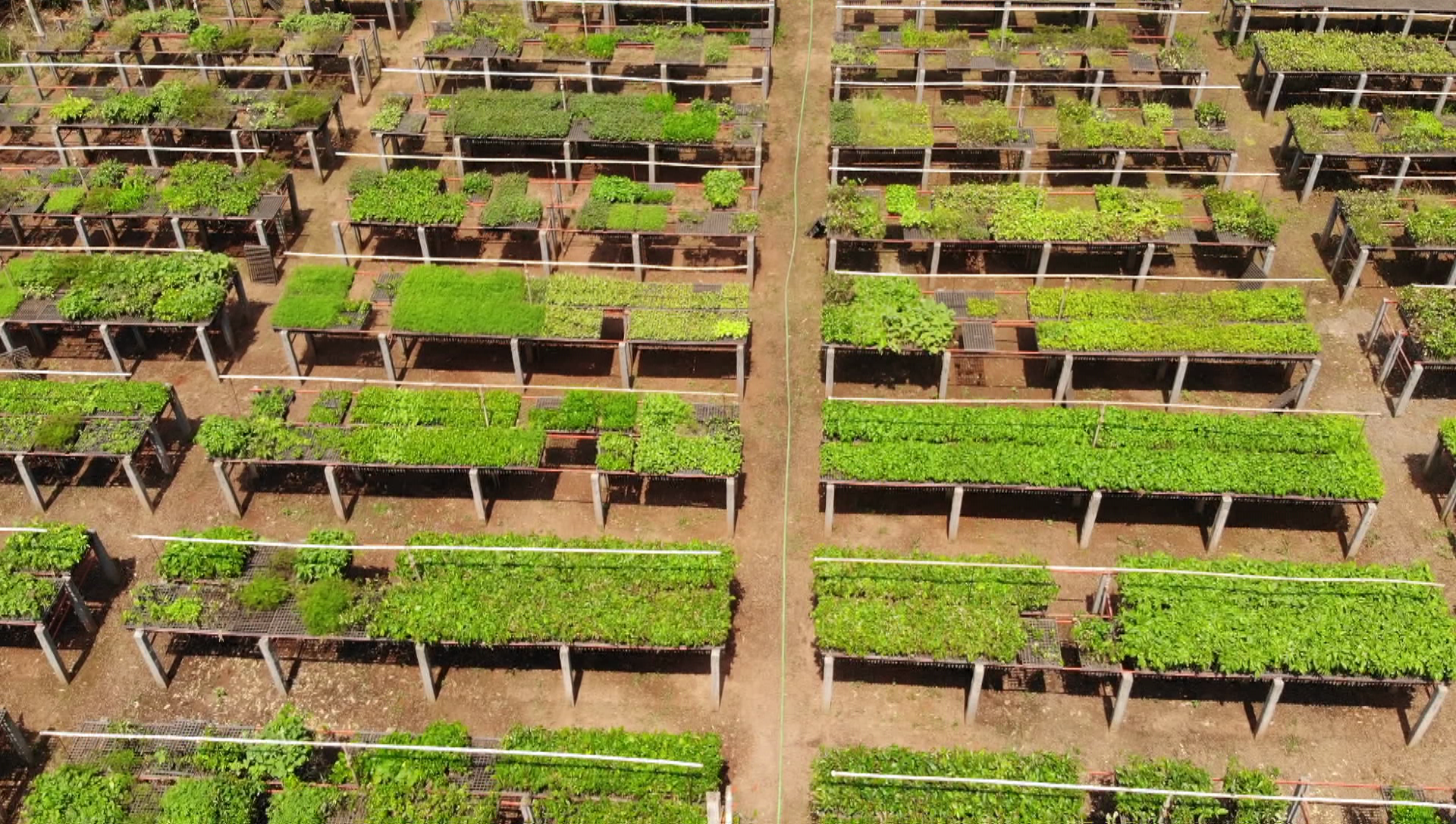Na primeira etapa expectativa é que sejam recuperados 700 hectares |